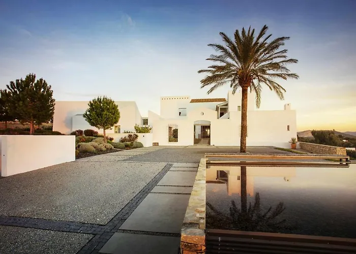 Cortijo exclusivo rodeado de un olivar centenario