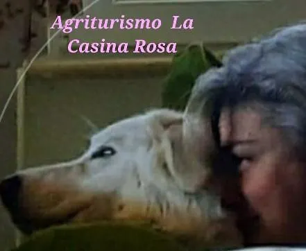 La Casina Rosa