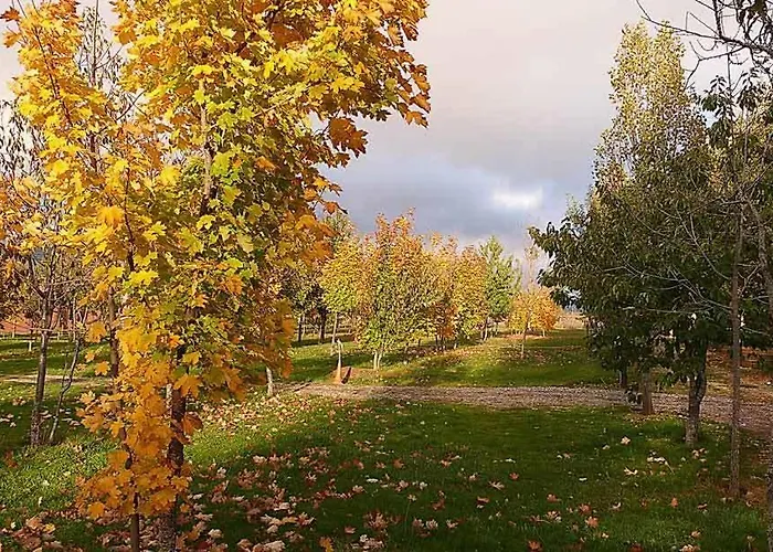 Camping Aín Jaca