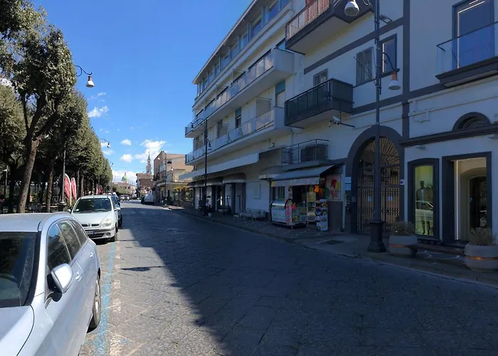 Domus Narciso Gallery