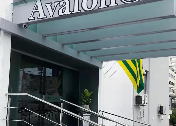 Avalon Executive