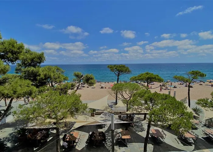 Apartamento: Apartamentos Aromar