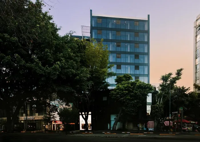 Sonder Cóporo