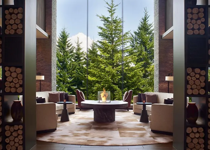 Kid friendly hotel Higashiyama Niseko Village, A Ritz-Carlton Reserve