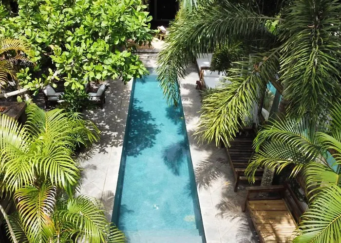  Monkey Casa