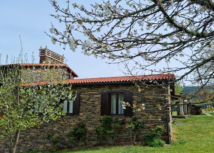  Casa Pro Pantea