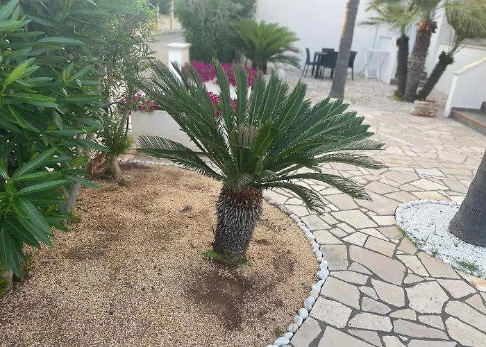 Bed And Breakfast Kale '