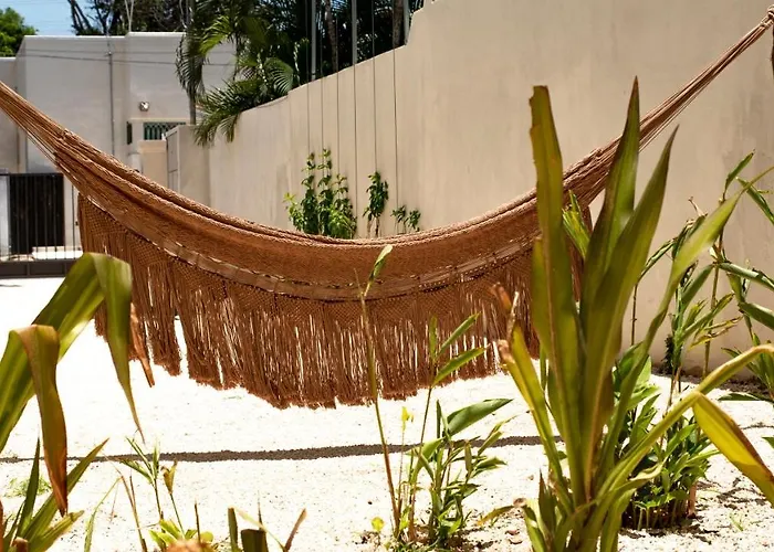 ConSentido Tamarindo