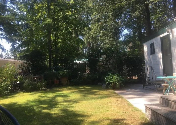 Vakantiehuis: Sfeervol vakantiehuisje in bosrijke omgeving