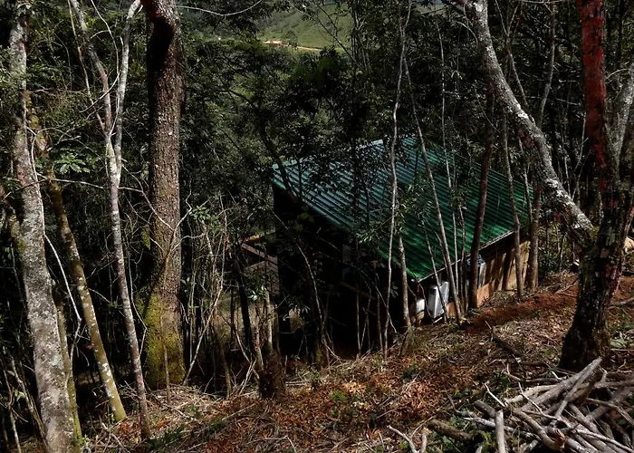 Reserva Jacarandá Cabanas