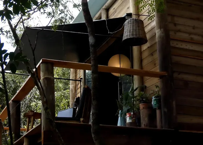 Reserva Jacarandá Cabanas