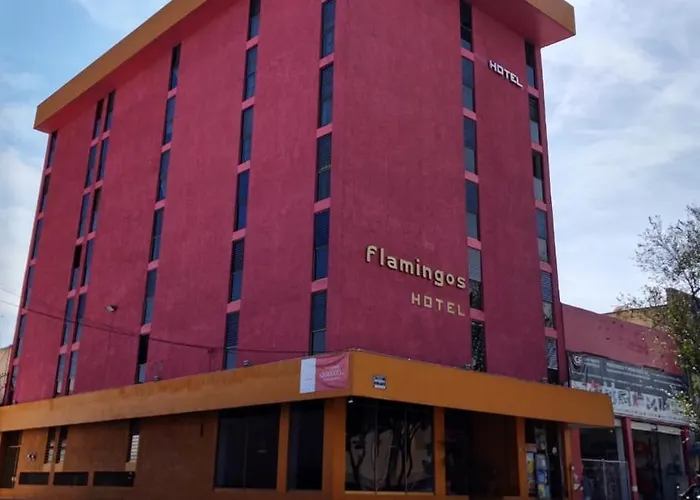 Motel: Hotel Flamingos