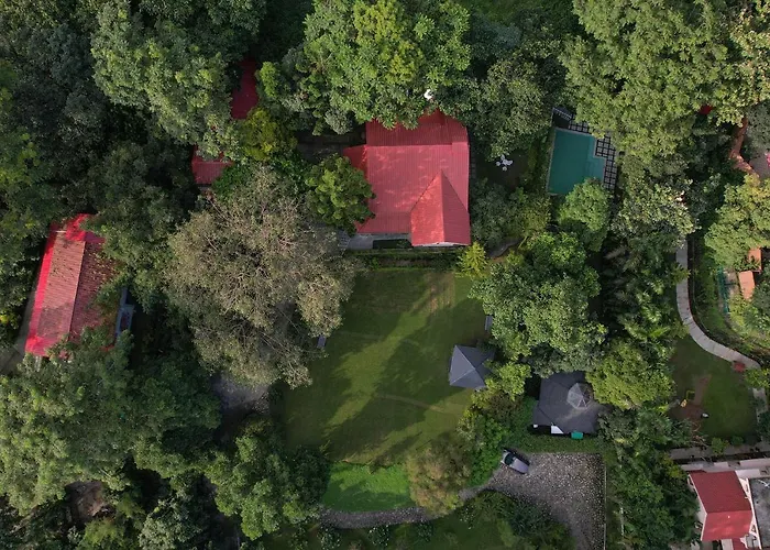 Lohonostays Ivy Cottage