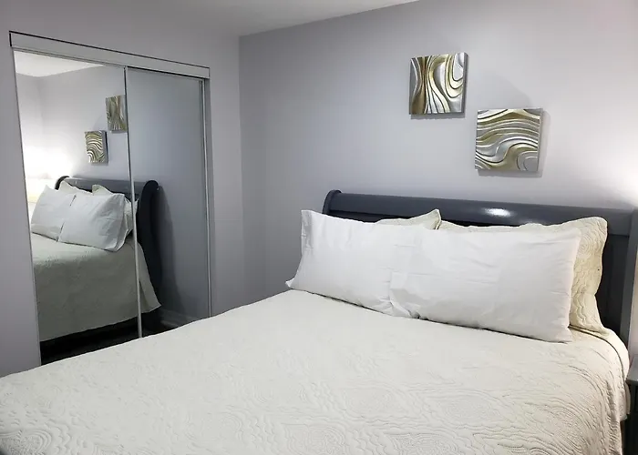 Luxurious 1Br-1Ba Apartment Bright Spacious With Free Parking-Gc-1