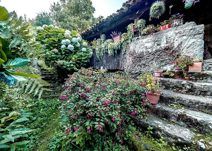 Apartamento en Plena Naturaleza