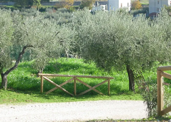Agriturismo Angelucci