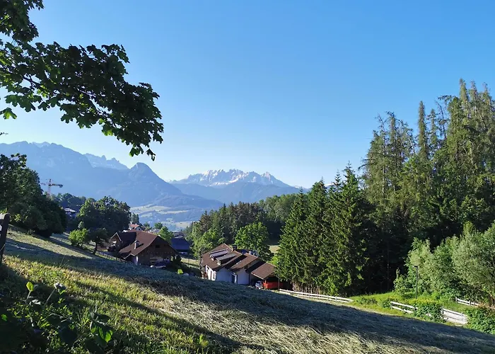 Biene Natururlaub Am Moosbachhof Mit Dolomitenblick