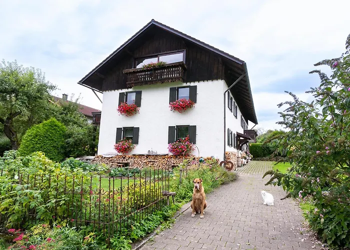 Bei den Hartmanns