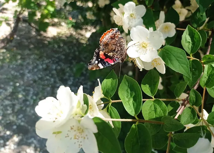 Arca Dos Animais - Farming & Spa