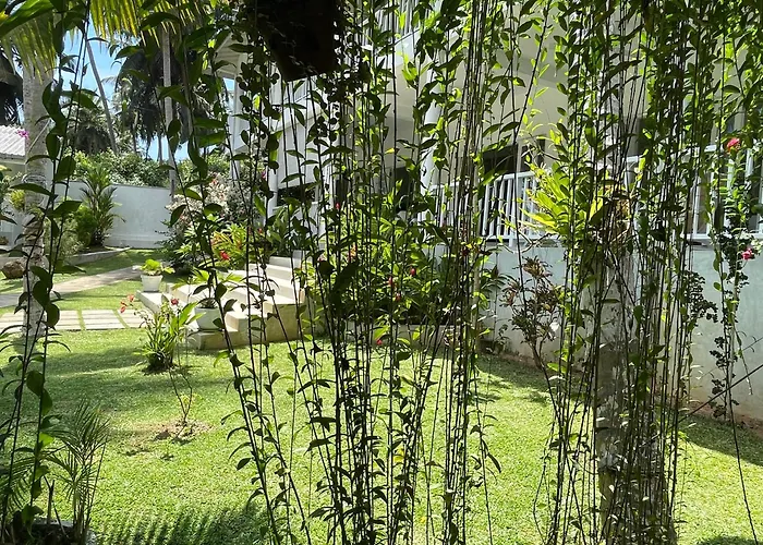 Hotels with a view Plantation House