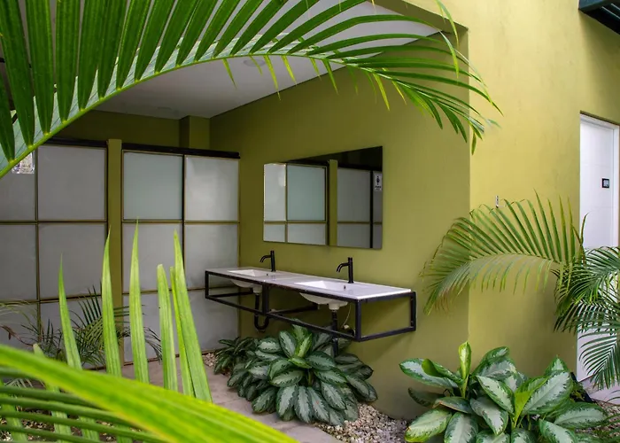 Oasis Tropical