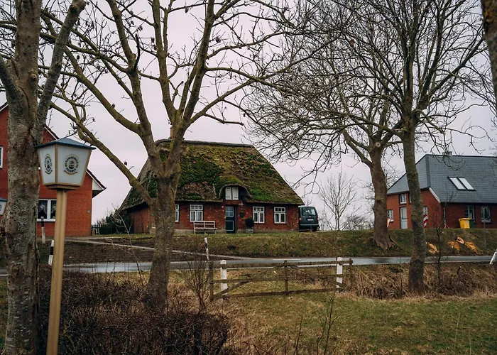 Kalle'S Reethus