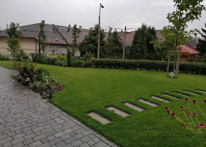  Tóni