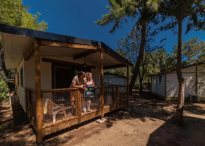 Hotel Ping Pong: Domaine La Pinède Enchantée