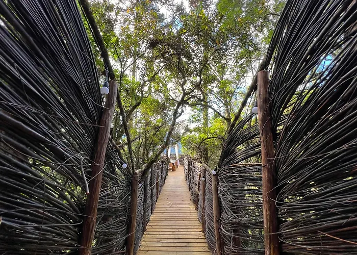 Hotel de luxo Apenas: Zion Bubble Glamping