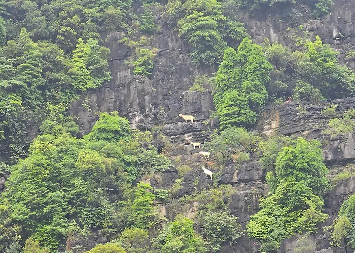 Resort: Fairy Mountain Retreat