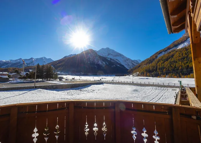 Bouton D'Or - Cogne
