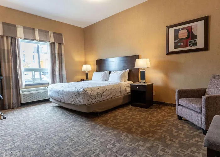 Family Hotel: Best Western Plus South Edmonton Inn & Suites