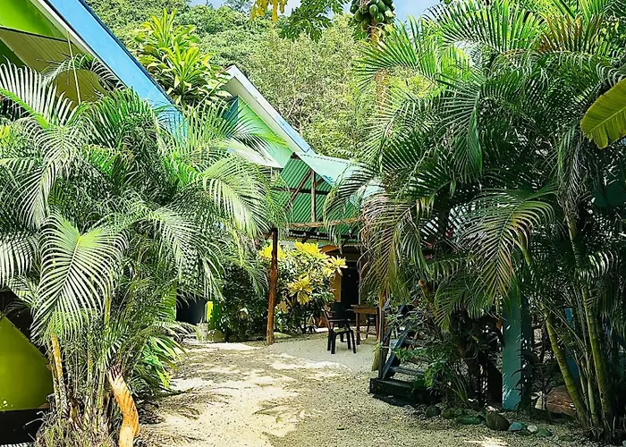 Surf Paradise