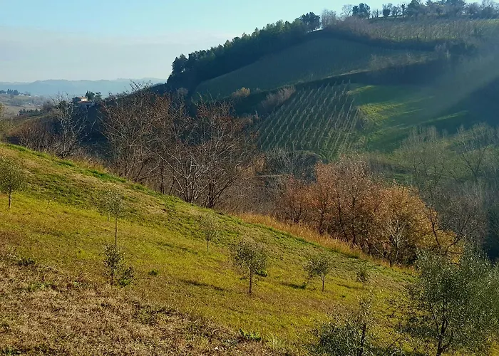 Azienda agricola biologica Le Lucciole