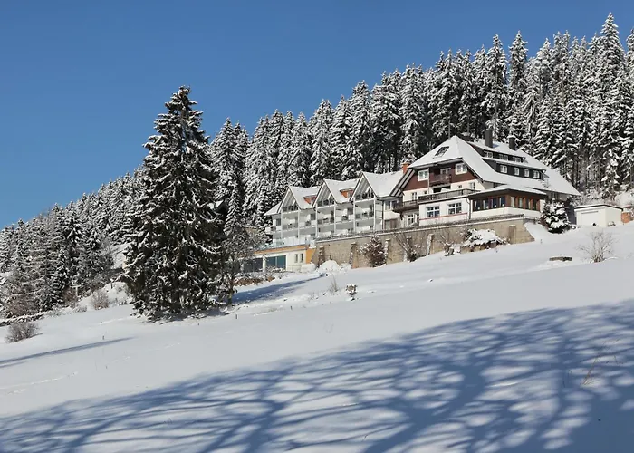 Jacuzzi-Hotel: JUFA Hotel Schwarzwald