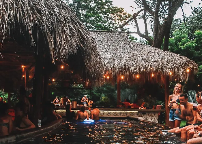 Hostel: The Space Jungle Oasis