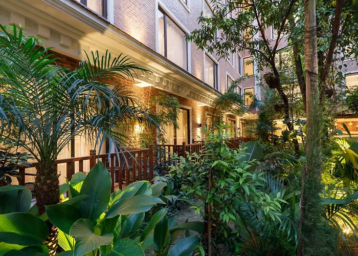 Thrive, A Tropical Courtyard