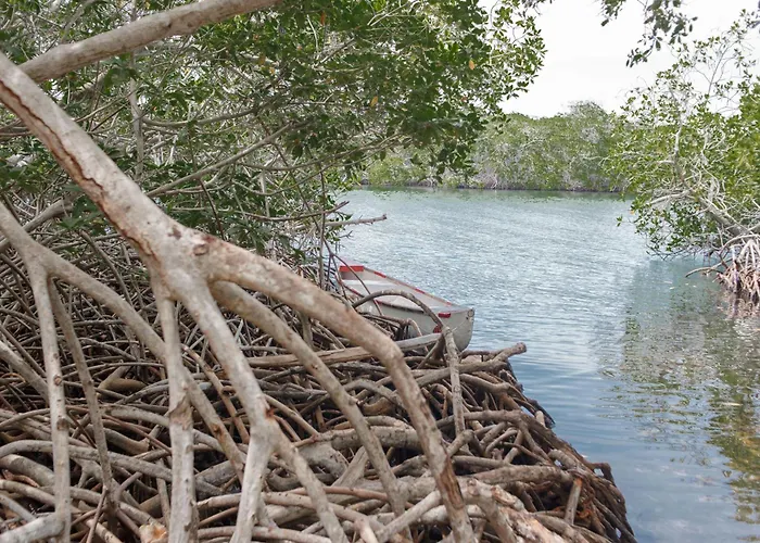Isla Grande Eco-Hostal