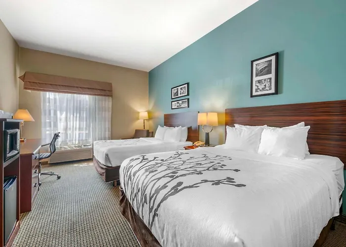 Sleep Inn & Suites Rapid City
