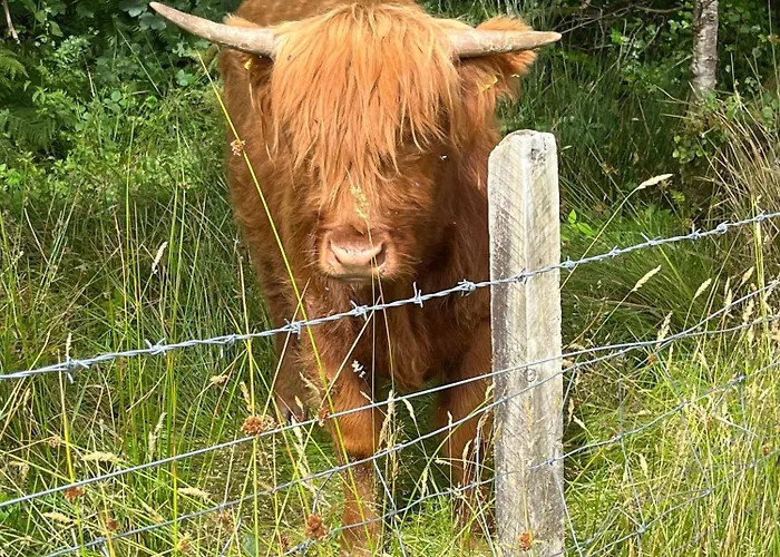 4 star hotel: Ben Nevis Manor