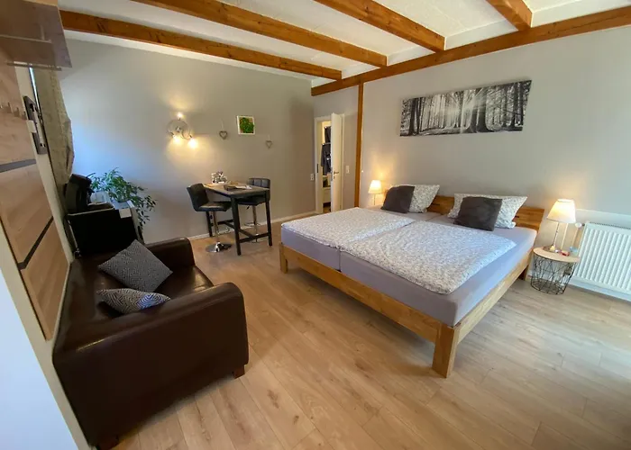 Großes Doppelzimmer mit eigenem Bad und Kühlschrank, frisch saniert