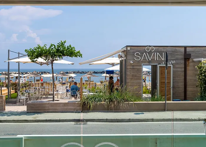  Savini