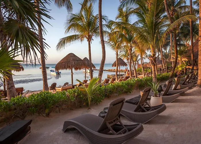 Beachfront Hotel La Palapa - Adults Only