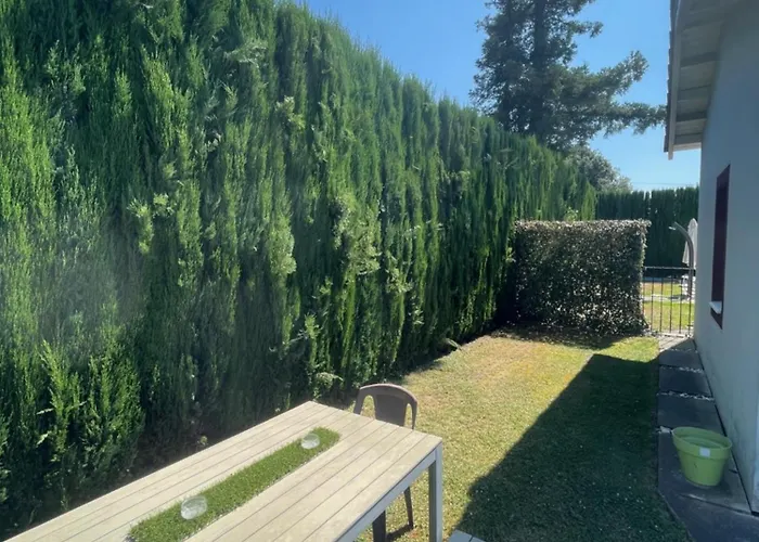 Casa Vacanze Podere Villa Olmo