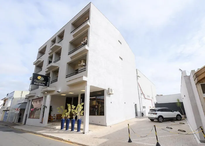  Universitario