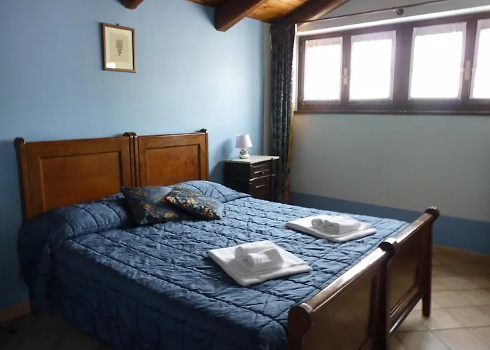 Casa vacanza: Agriturismo Viticcio