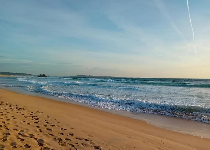 A Pintega Das Dunas