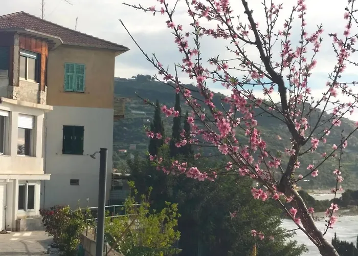 Appartamento un mare di fiori
