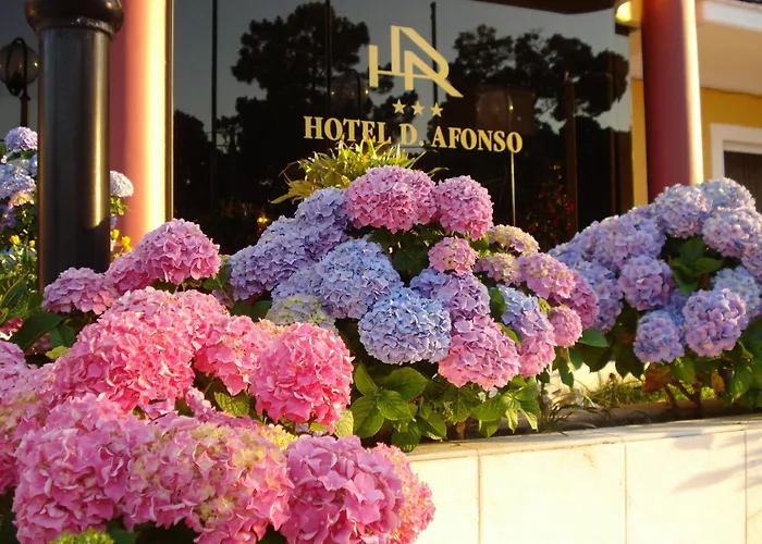 Hotel familiar: D. Afonso Hotel & Spa