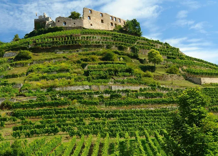 3-Sterne-Hotel: Hotel Der Loewen In Staufen